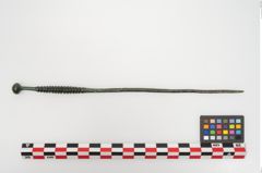 Foto von Bronzekugelkopfnadel (NHMW-PRAE-024504)